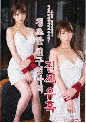 op剧场版 tv 特别篇 封面